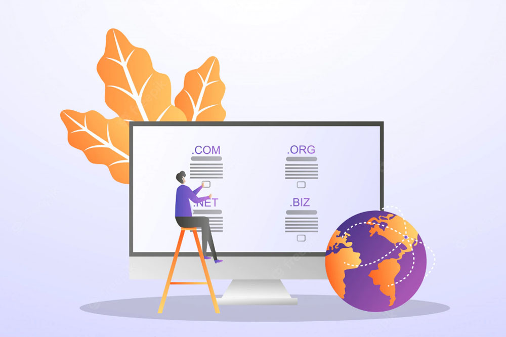 Domain Name Registration