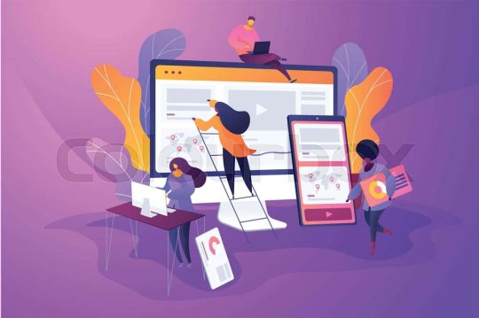Website development