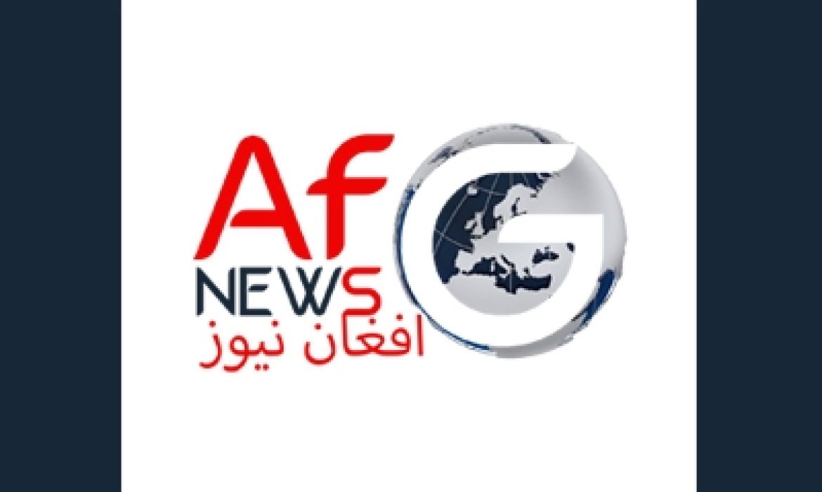 website Designing & Development Graphic Logo Branding