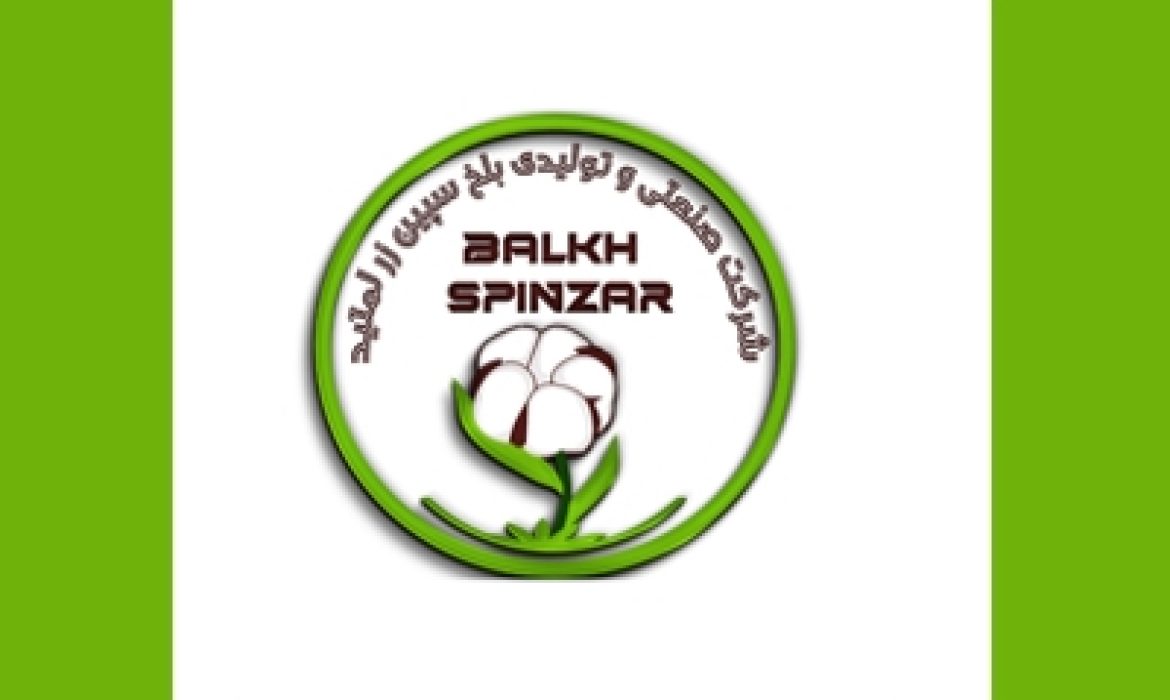 website Designing & Development Graphic Logo Branding