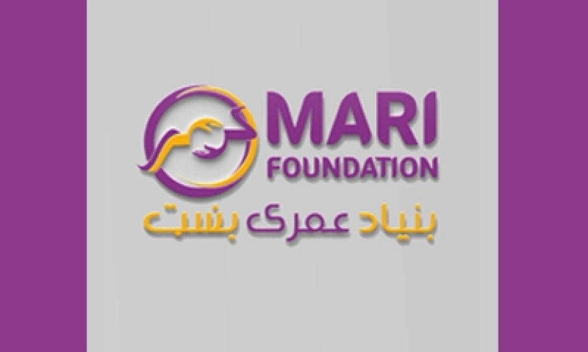 website Designing & Development Graphic Logo Branding